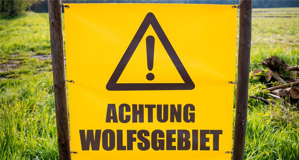 Ein Schild mit der Aufschrift «Achtung Wolfsgebiet» steht in der Nähe des Ortes,...