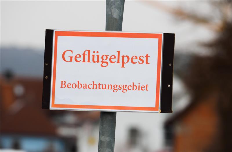 Ein Schild mit der Aufschrift "Geflügelpest - Beobachtungsgebiet" ist zu sehen. Der neue Begriff dafür ist Überwachungszone. Archivfoto: picture alliance / Nicolas Armer/dpa