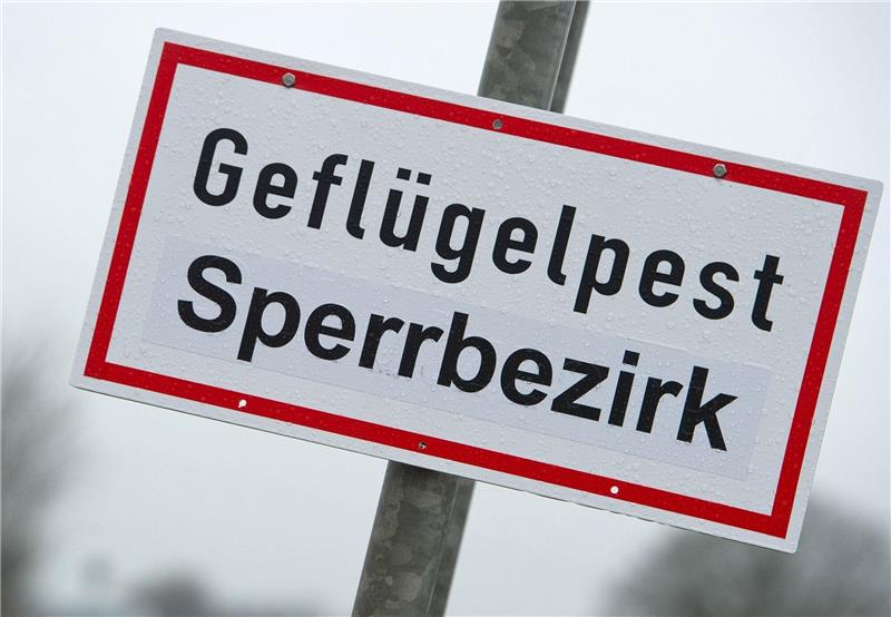 Nach Geflügelpest-Ausbruch in Cuxhaven richtet auch Bremen Überwachungszone ein Ein Schild mit der Aufschrift "Geflügelpest Sperrbezirk".