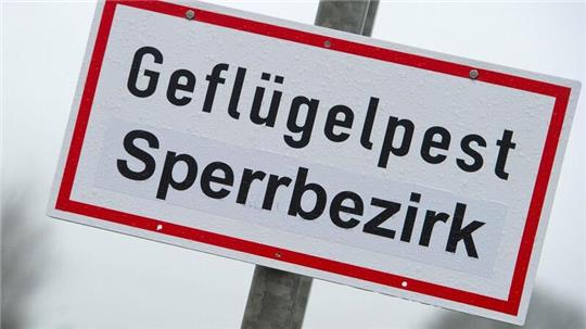 Ein Schild mit der Aufschrift „Geflügelpest Sperrbezirk“ (Archivbild).
