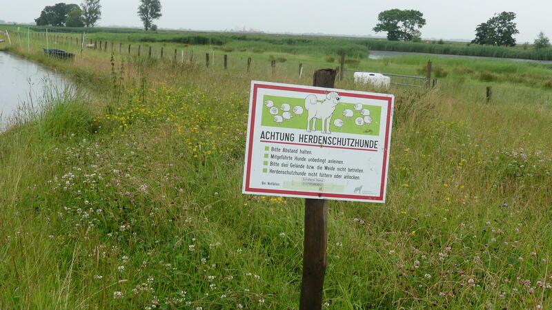 Freiburger Kangals beißen Hündin fast zu Tode und verletzen Besitzerin Ein Schild warnt Passanten, Abstand von der Weide mit den Herdenschutzhunden zu halten. In Freiburg grenzen die Flächen aber abschnittsweise direkt an den Elberadweg.