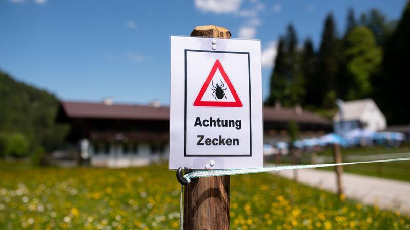 Ein Schild warnt an einem Wanderweg vor Zecken.