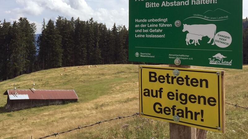 Nach tödlicher Kuh-Attacke: Landwirt muss nicht zahlen Ein Schild warnt vor dem Betreten einer Kuhweide (Symbolbild).