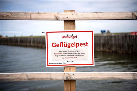 Ein Schild warnt vor der Geflügelpest.