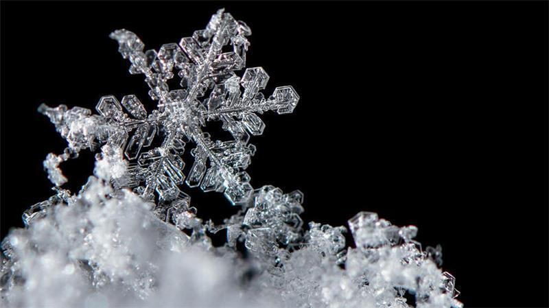 +++ bei Schnee +++8 überraschende Fakten über Schnee - Ohne Staub keine Flocken Ein Schneekristall, auch Schneeflocke genannt, liegt auf dem Boden im frisch gefallenen Schnee.