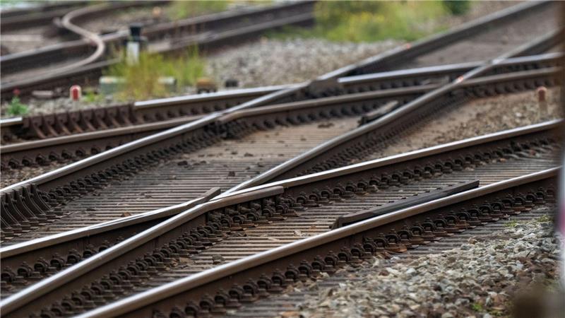 Schwan in Gleisen verursacht Zugausfälle Ein Schwan hatte die Gleise blockiert. (Symbolbild)