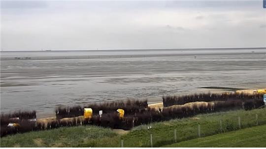 Ein Screenshot vom Livestream aus Cuxhaven-Duhnen.
