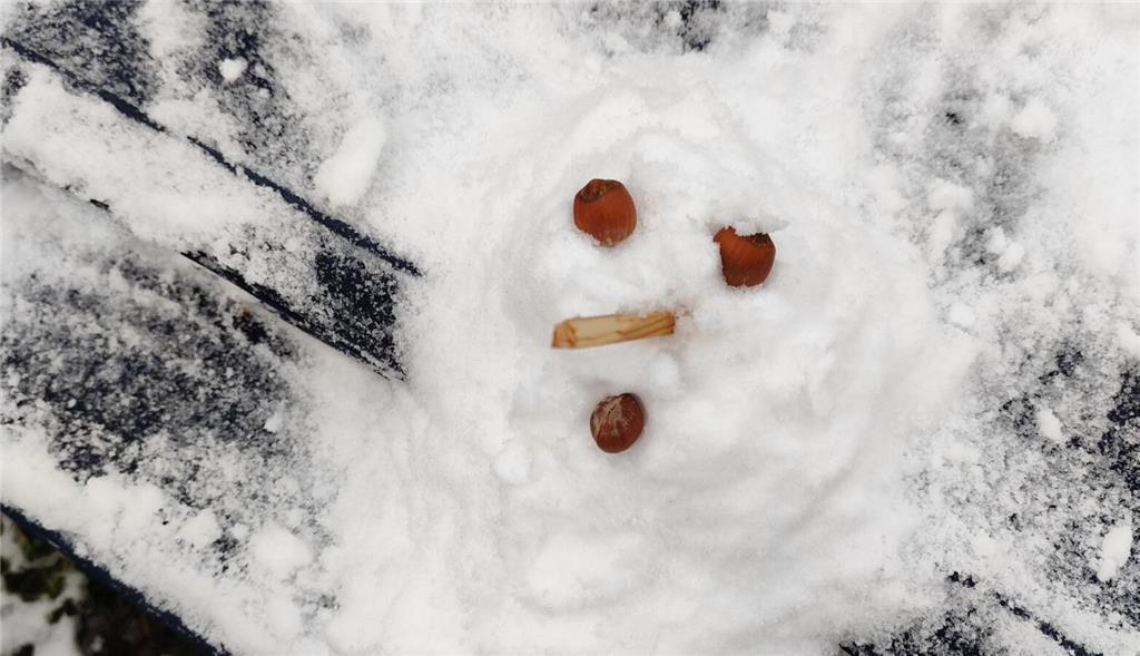 Ein Stillleben von Jacqueline Fenske.