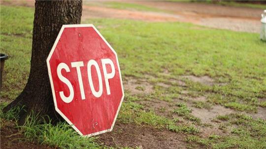 Ein Stoppschild lehnt an einem Baum.