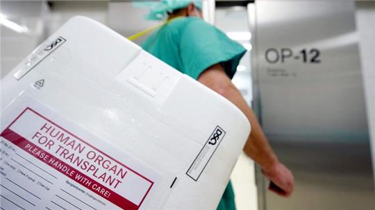 Ein Styropor-Behälter zum Transport von zur Transplantation vorgesehenen Organen.