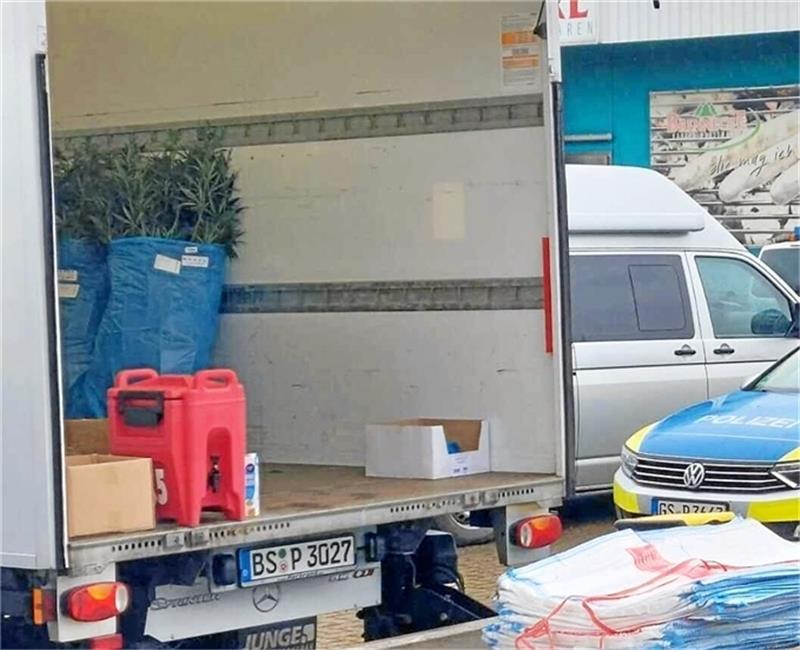 Riesiger Drogenfund beschäftigt 350 Polizisten vier Tage lang Ein Teil der offenbar äußerst vitalen Pflanzen in einem Lkw.