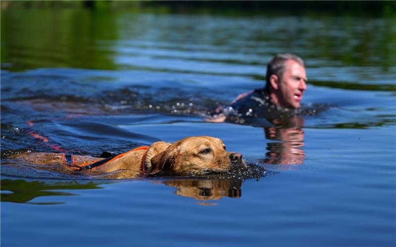 Ein Teilnehmer schwimmt mit seinem Hund beim Hunde-Triathlon.