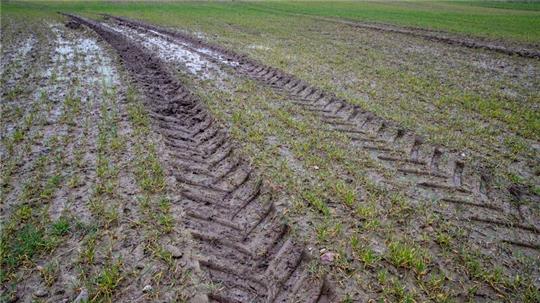 Ein Traktor hat tiefe Spuren in den nach starken Regenfällen aufgeweichten Ackerboden gedrückt.
