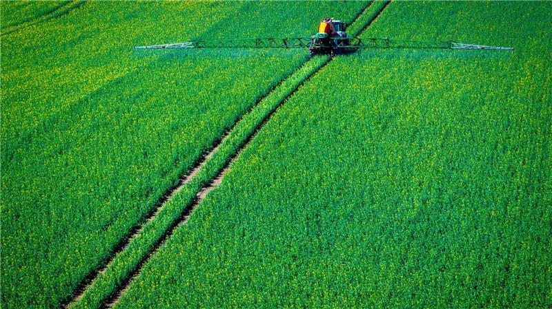 Ein Traktor zieht eine Spritzmaschine über ein Rapsfeld