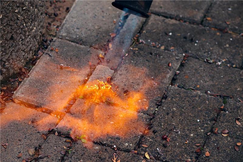 Ein Unkrautbrenner kann praktisch sein - aber auch der Auslöser für Großbrände werden. Foto: pixabay