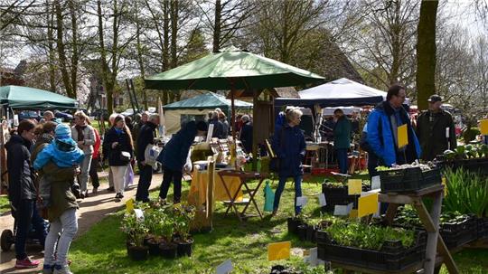 Ein Vergnügen für kleine und große Besucher: der Pflanzen- und Handwerkermarkt in Bliedersdorf.