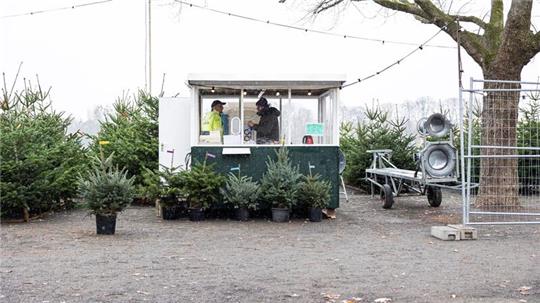 Ein Verkaufsstand für Weihnachtsbäume.