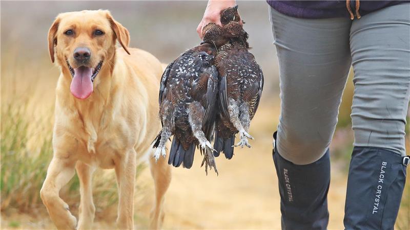 Ein Versuch, den Einsatz der giftigen Munition durch einen freiwilligen Verzicht zu beenden, scheiterte. (Symbolfoto)