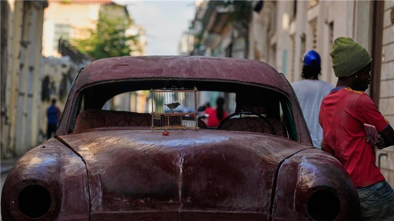 Ein Vogel in einem Käfig steht in Havanna zum Verkauf auf der Motorhaube.