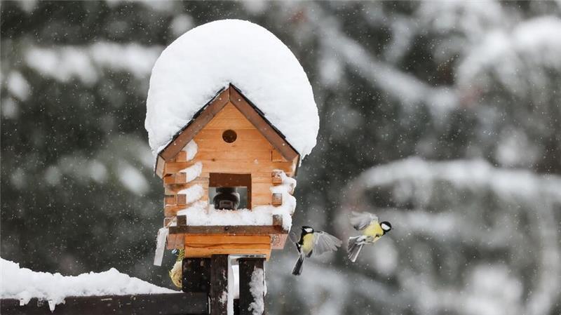 Was Sie im Winter für den Garten tun können Ein Vogelhaus bietet Vögeln im Winter nicht nur Futter und Schutz vor Kälte, sondern Beobachtern auch einen schönen Anblick.
