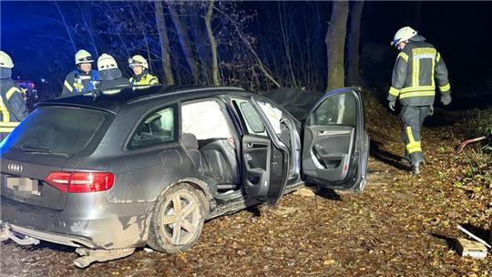 Ein Wagen ist zwischen Goldbeck und Sauensiek mit einem Baum kollidiert.