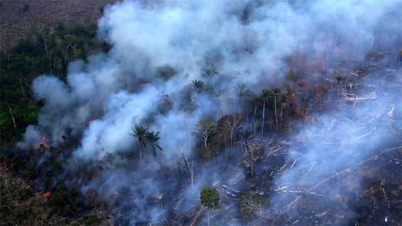 Ein Waldbrand in einem Gebiet des Amazonas-Regenwaldes in Autazes im brasilianischen Bundesstaat Amazonas.
