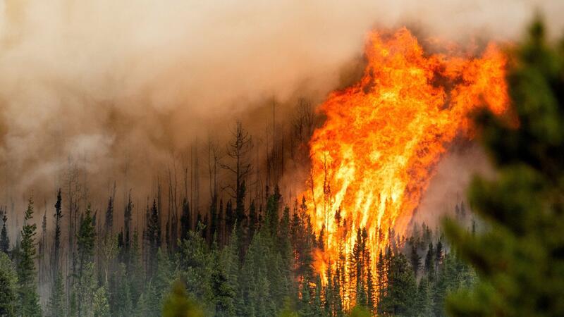 Ein Waldbrand wütet nahe Fort St. John in der kanadischen Provinz British Columbia.