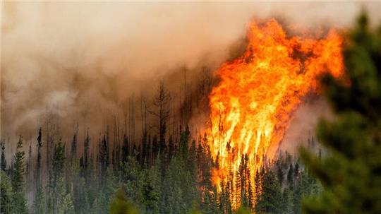 Ein Waldbrand wütet nahe Fort St. John in der kanadischen Provinz British Columbia.