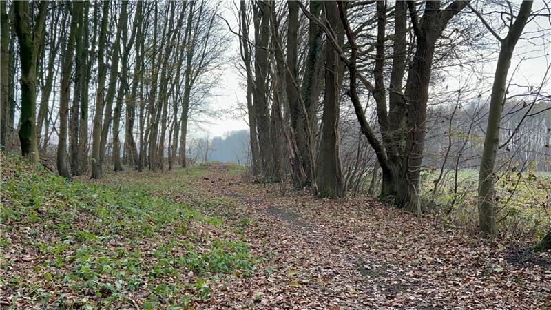 Hingerichtet in Himmelpforten: Dietrich Alsdorf bleibt auf Annas Spuren Ein Weg, den zusammen mit Anna und Claus vor fast 200 Jahren eine Menge von Schaulustigen nahm.