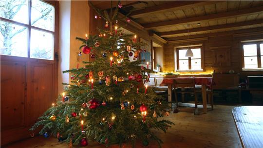 Ein Weihnachtsbaum mit echten Kerzen - da kommt bei vielen Leuten so richtig Feststimmung auf.