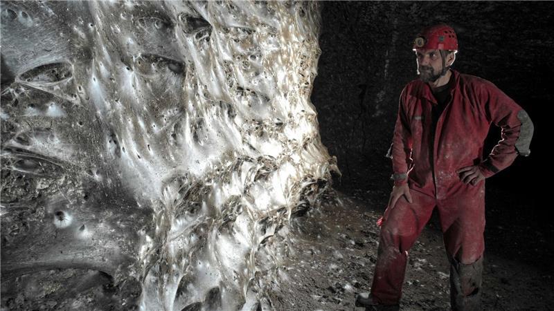 Ein Wissenschaftler vor dem riesigen Spinnennetz