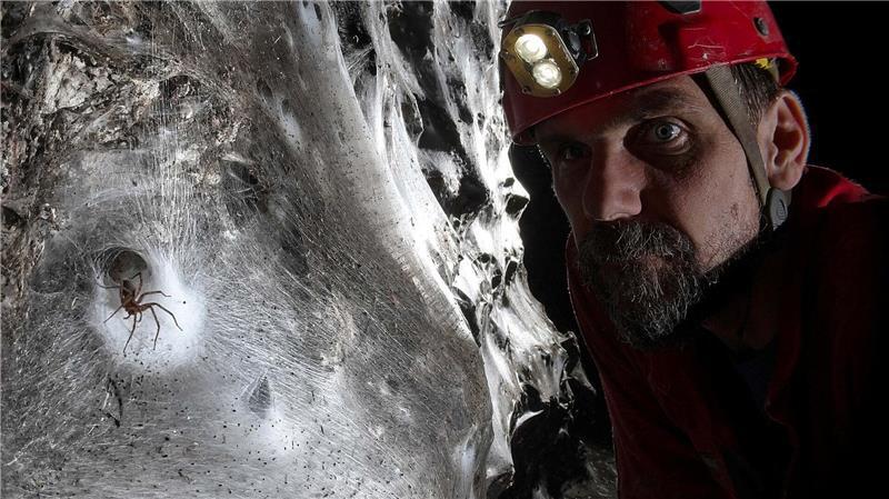 Ein Wissenschaftler vor dem riesigen Spinnennetz