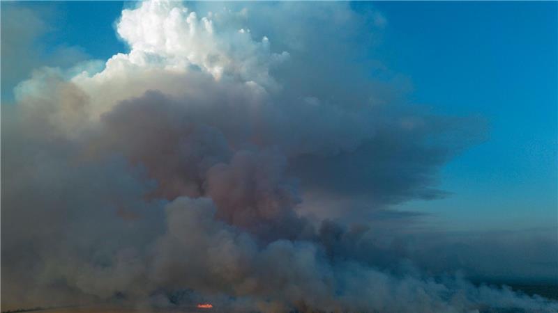 Mehrere Waldbrände halten Feuerwehren im Osten in Atem Ein Wohnheim in der Nähe ist bedroht und wird evakuiert.