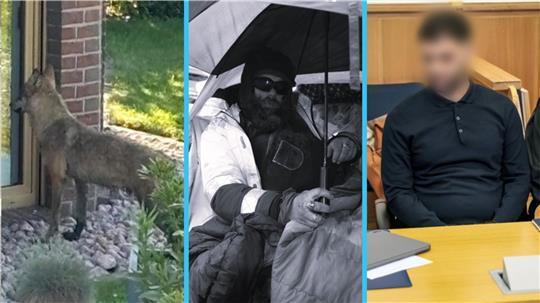 Ein Wolf, der in ein Haus späht, der Tod von Marcel Suchomel und der Clan-Prozess: Auch im Jahr 2024 gab es viele Geschichten, die die TAGEBLATT-Nutzer bewegt haben.