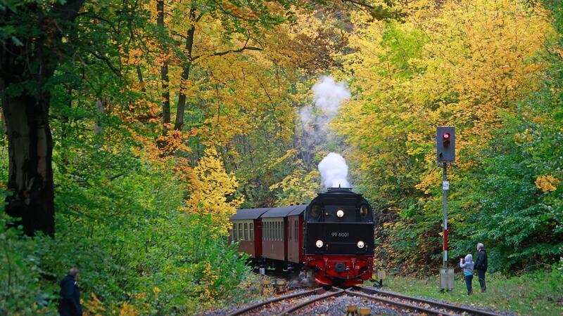 „Unvermeidbar“ - Harzer Schmalspurbahnen erhöhen Preise Ein Zug der Harzer Schmalspurbahn steht im Bahnhof Steinerne Renne in Wernigerode.