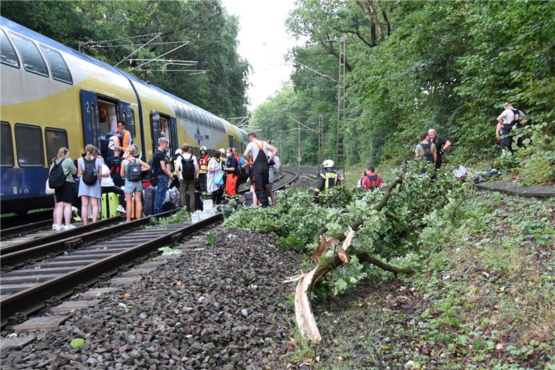 Ein Zug des Metronom musste kurz vor Buchholz evakuiert werden. Foto: Feuerwehr Buchholz