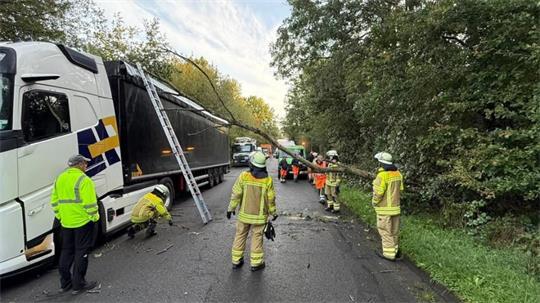 Ein abgebrochener Ast hat einen Sattelschlepper in Stade-Ottenbeck beschädigt.