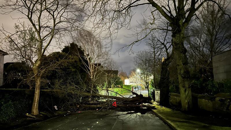 Ein abgebrochener Ast versperrt die Notting Hill Road in Süd-Belfast.