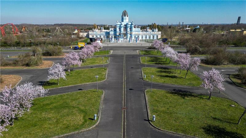 Ein bisschen Märchenwelt in Sachsen: Kirschbäume blühen vor dem Eingang des Schlosses im Freizeitpark Belantis in Leipzig. 