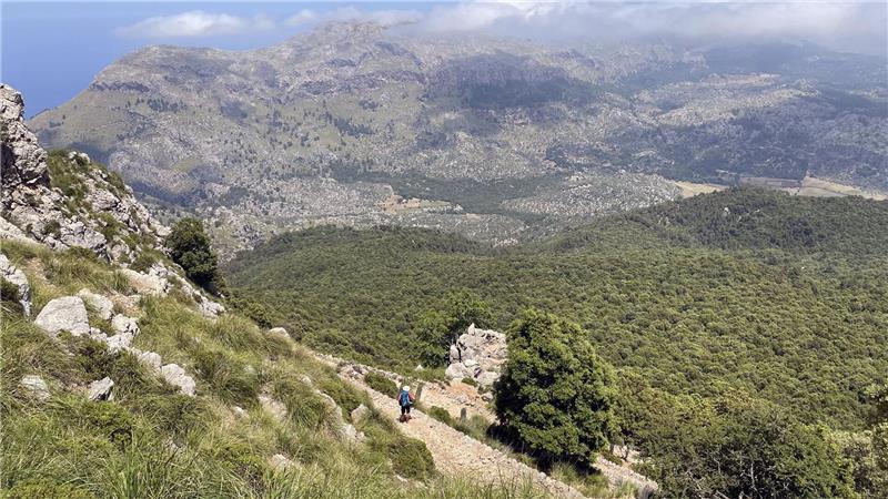 Ein deutscher Wanderer ist auf Mallorca in den Tod gestürzt.