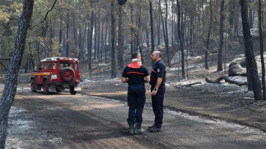 Ein freiwilliger Feuerwehrmann hat eingeräumt, im Wald von Fontainebleau Feuer gelegt zu haben.