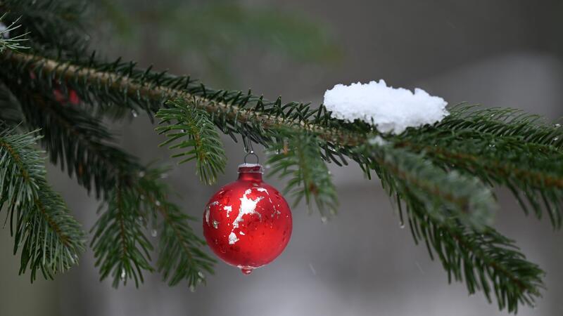 Ein geschmückter Weihnachtsbaum.