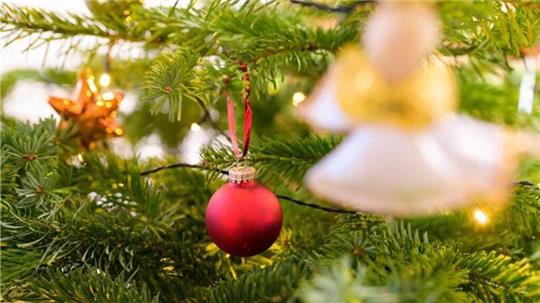 Ein geschmückter Weihnachtsbaum gehört für viele einfach zum Fest dazu. Doch eine Kita in Hamburg will keine Tanne aufstellen.
