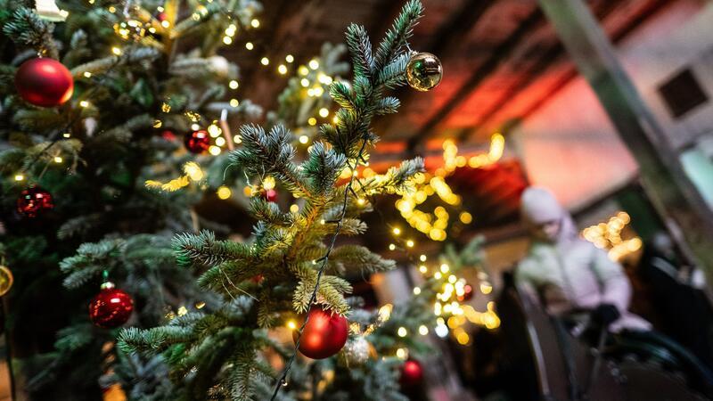 Adventsmarkt im ältesten Vollblutgestüt Deutschlands Ein geschmückter Weihnachtsbaum leuchtet auf dem Adventsmarkt im Vollblutgestüt.