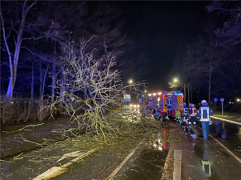 Sturmschäden: „Zeynep“ kostet Versicherer über 900 Millionen Euro Ein großer Baum ist in Buxtehude auf die Hansestraße gestürzt. Foto: Timm Gerken