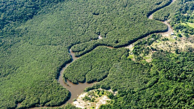 Deutlich weniger Rodung im brasilianischen Amazonasgebiet Ein kleiner Fluss schlängelt sich durch den Amazonas-Regenwald. Das brasilianische Amazonasgebiet gilt als CO2-Speicher.