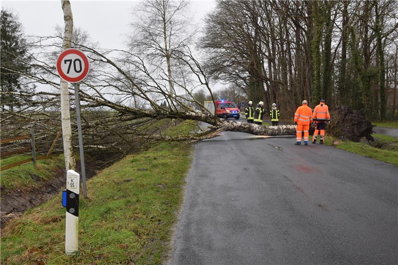 Ein mächtiger Baum blokiert die K55. Foto: Kachmann/Feuerwehren Wohlerst/Kakerbeck