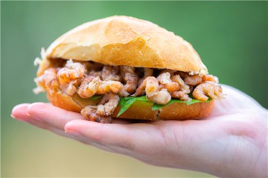 Ein mit Krabben gefülltes Brötchen. Um die Krabbenfischerei langfristig zu sichern, fördert Niedersachsens Landesregierung ein Forschungsprojekt zur regionalen Wertschöpfung mit einem Millionenbetrag. Foto: Mohssen Assaninmoghaddam/dpa