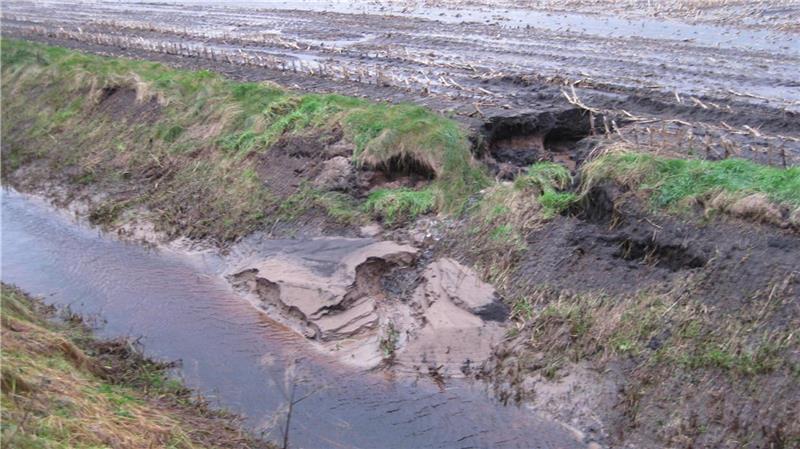 Ein negatives Beispiel: Graben vor dem Selsinger Moor mit Böschungsauskolkung durch zu nahe Beackerung und Erosionsrinne. Foto: Wasserverband