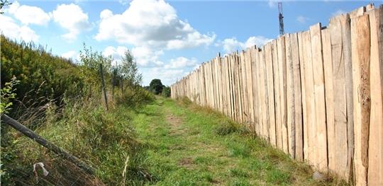 Ein schmaler unebener Trampelpfad zwischen Wall und Bretterzaun ersetzt den historischen „Schinnerweg“: Der Wanderweg liegt zwischen dem Schragenberger Baggersee (links) und dem Gewerbegebiet Siedenkamp (rechts). Foto Lohmann